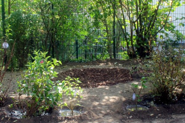 Rückzugsbereich Gartenprojekte